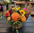 Autumn Splendor