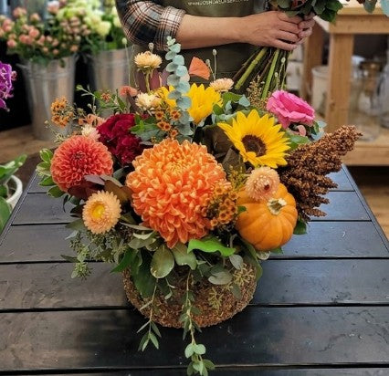 Autumn Splendor