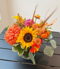 Autumn Sunshine