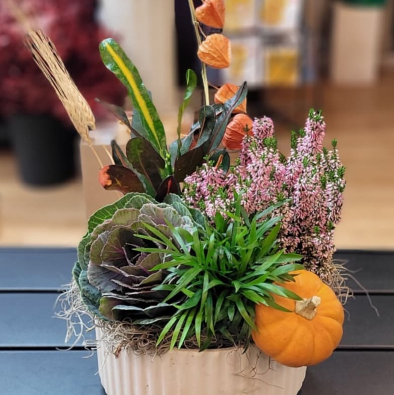 Autumn Whisper Garden