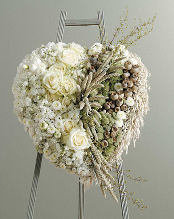 BSF5-11