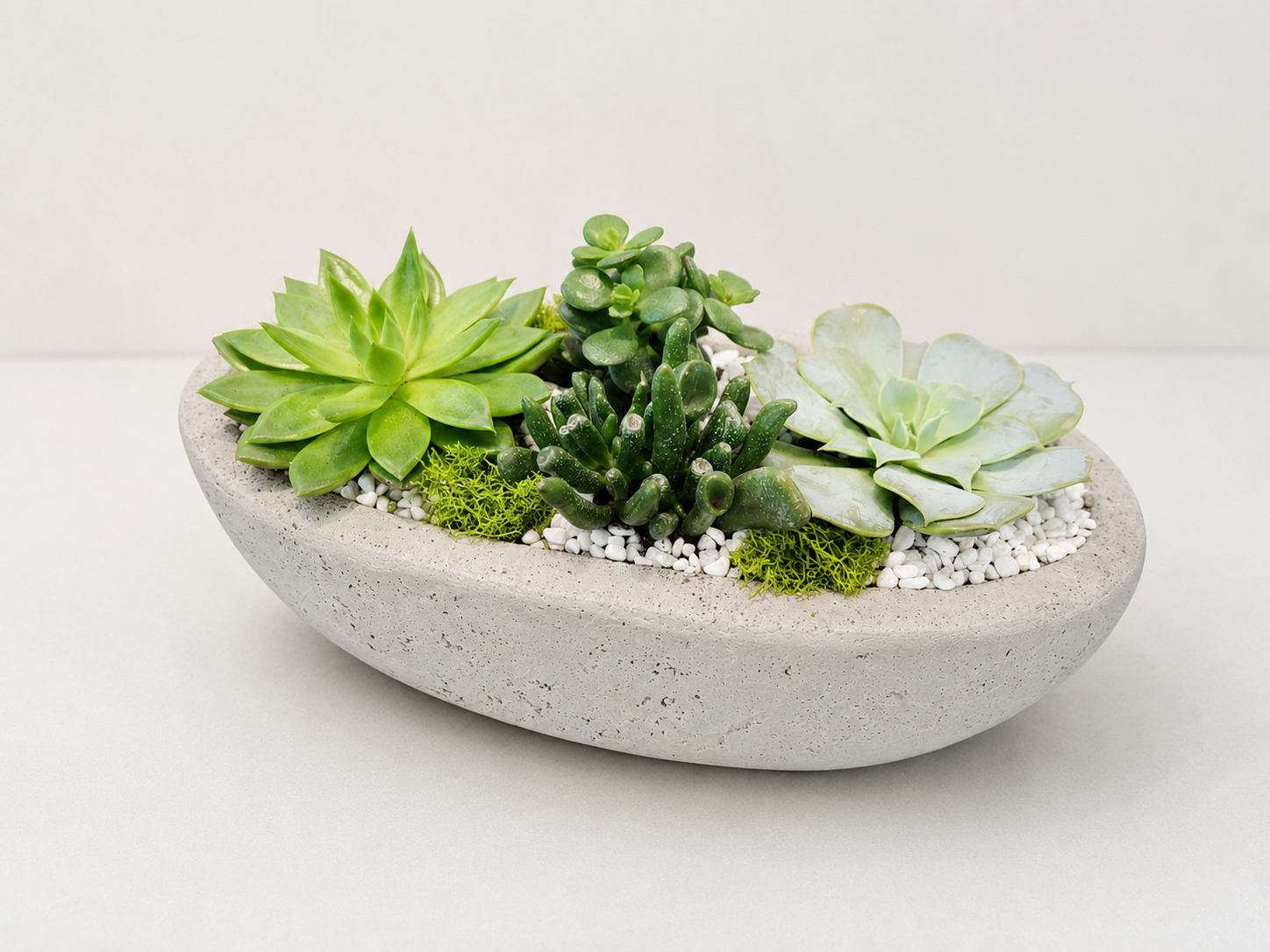 Succulent Harmony