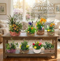 Designer's Choice-Plant Arrangement