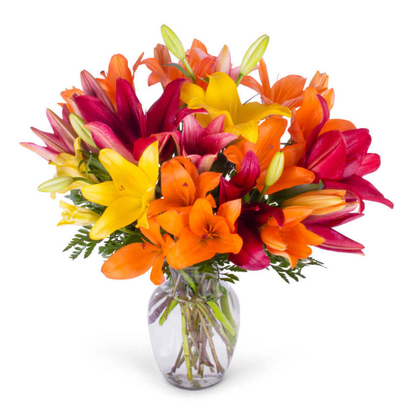 Lovely Lily - Joshua's Greenery-Barrie Florist