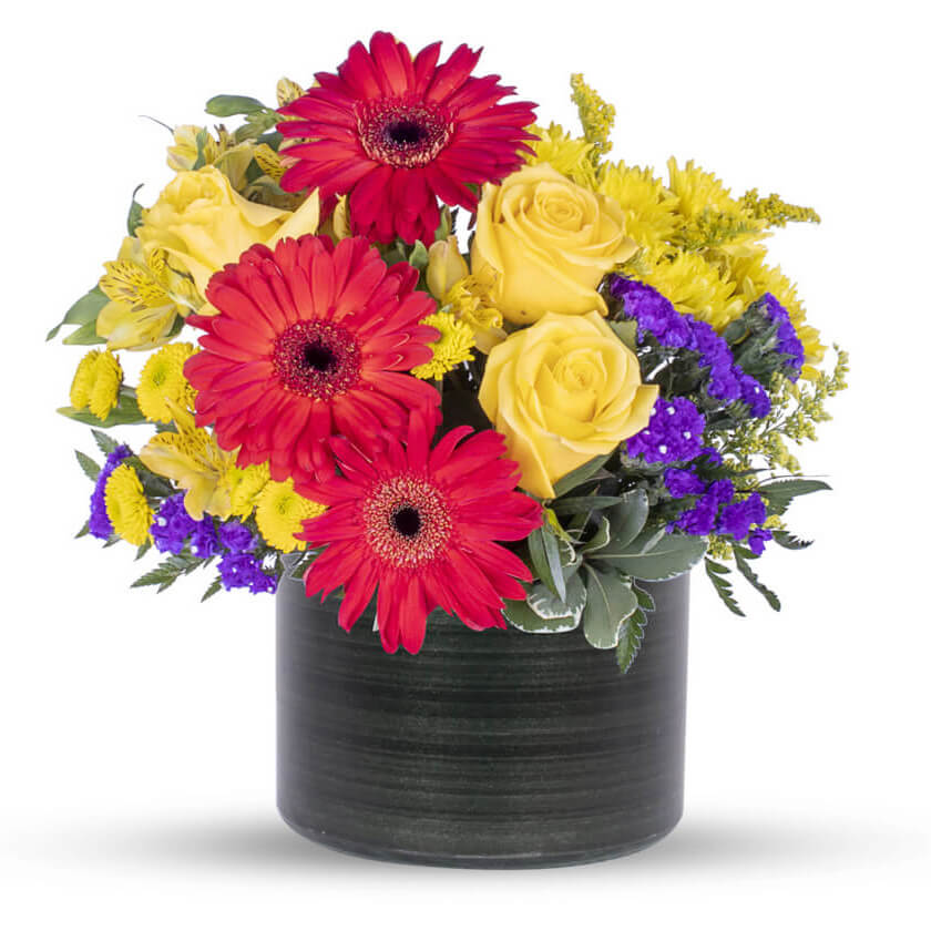 Bright flower arrangement with red gerbera daisies, yellow roses, and purple blooms in a black vase