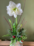 Holiday Joy - Joshua's Greenery-Barrie Florist