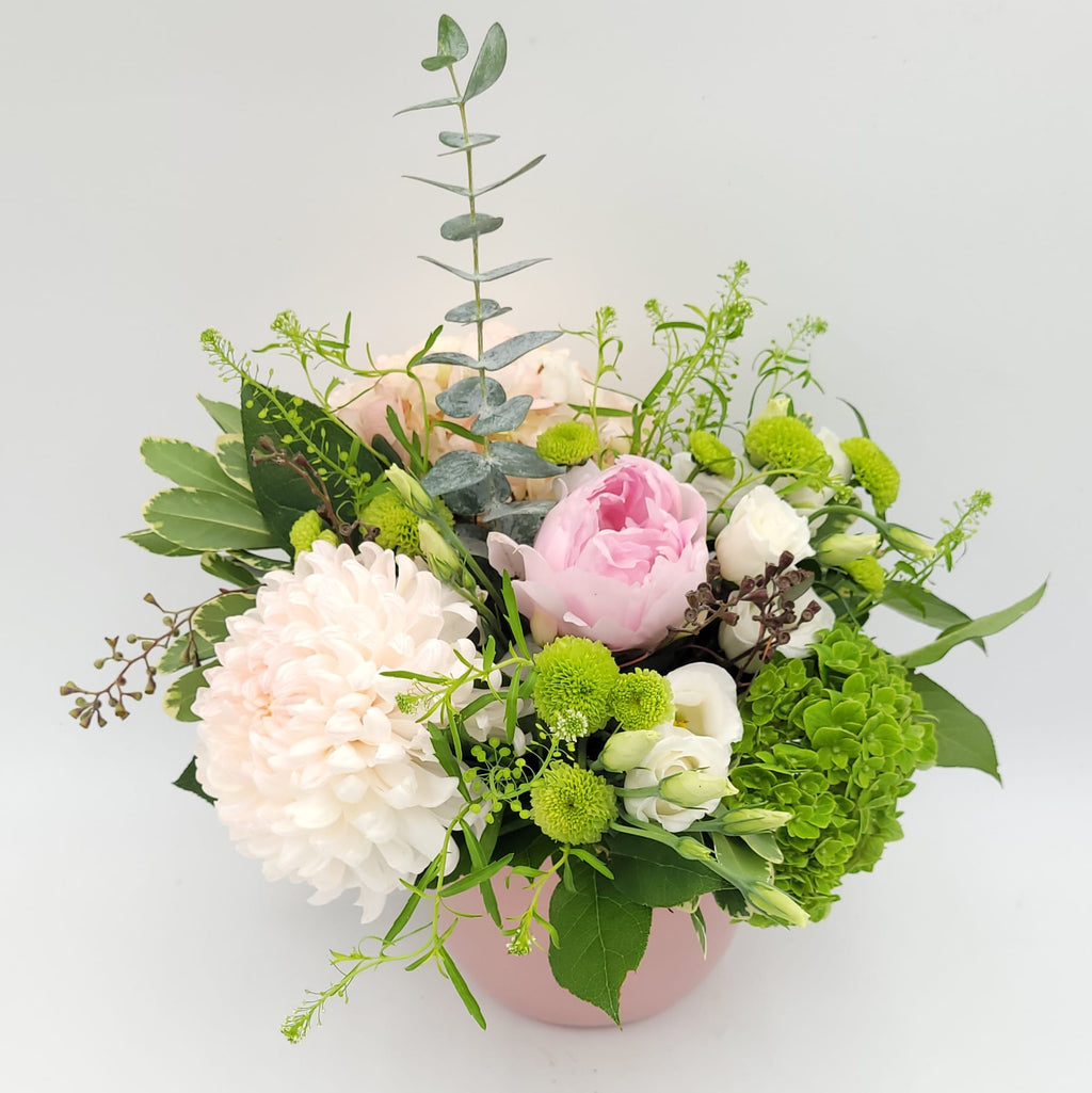 Fresh floral arrangement with pink peony, white chrysanthemum, green hydrangea in a pink pot