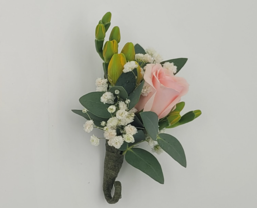 Pink rose boutonniere with greenery and white baby's breath by Barrie Florist on white background