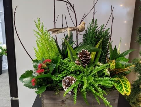 Festive winter planter with greenery, pine cones, red flowers, and decorative bird by Joshua's Greenery Barrie Florist