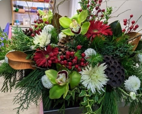Festive floral arrangement with green orchids, red gerberas, berries, and pine from Joshua's Greenery