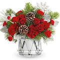 Scarlet Snow Drum - Joshua's Greenery-Barrie Florist