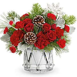 Scarlet Snow Drum - Joshua's Greenery-Barrie Florist