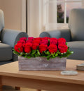 Timeless Elegance of Red roses