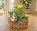 Meadow Treasure
