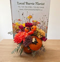 Pumpkin Harvest Glow