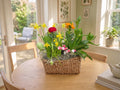 Spring Surprise
