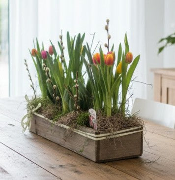 Spring mix planter