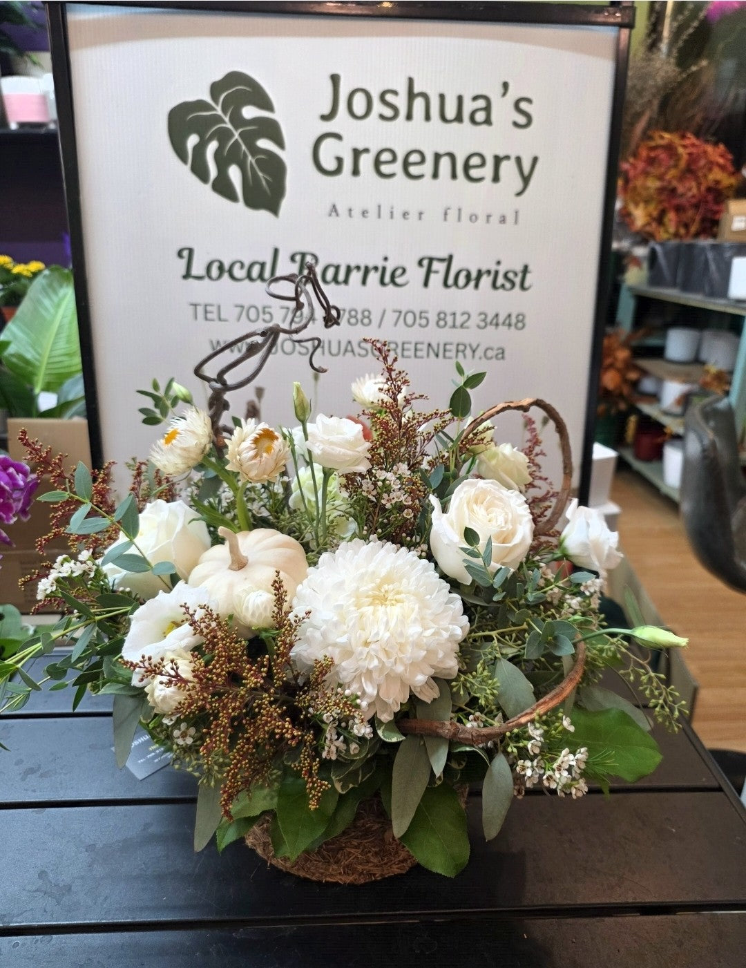 White Velvet Harvest
